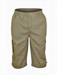 D555 Mason Cargo-Bermudas Beige