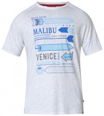 D555 Norris T-shirt Grey