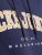 Jack & Jones CALEB Hoodie Navy Blazer - Herren-sweater und -hoodies - Herren-Sweater und -Hoodies in großen Größen
