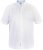 D555 James Short Sleeve Oxford Shirt White - Herrenhemden in großen Größen - Herrenhemden in großen Größen