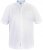 D555 James Short Sleeve Oxford Shirt White - Herrenhemden - Herrenhemden in großen Größen