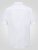 D555 James Kurzarm Oxford-Hemd TALL Weiß - TALL hemden - 