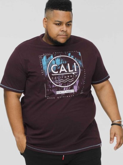 D555 NOVA Cali Surf Printed Crew Neck T-Shirt Plum - Herren-T-Shirts - Herren-T-Shirts in großen Größen