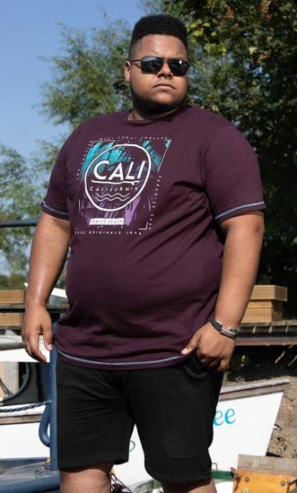 D555 NOVA Cali Surf Printed Crew Neck T-Shirt Plum - Herren-T-Shirts - Herren-T-Shirts in großen Größen