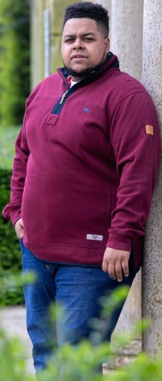D555 HIRALDO Quarter Neck Pique Fleece Sweatshirt With Chest Embroidery Red - Herren-sweater und -hoodies - Herren-Sweater und -Hoodies in großen Größen