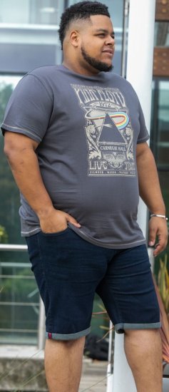 D555 HANLEY Official Pink Floyd Crew Neck T-Shirt Dark Grey TALL SIZES - HERRENBEKLEIDUNG MT-6XLT - Langgrößen für Herren