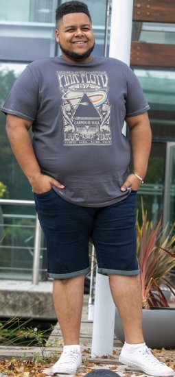 D555 HANLEY Official Pink Floyd Crew Neck T-Shirt Dark Grey TALL SIZES - HERRENBEKLEIDUNG MT-6XLT - Langgrößen für Herren