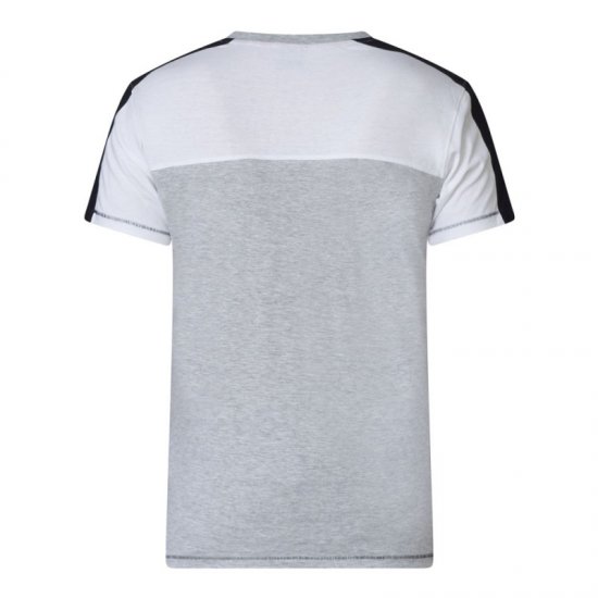 D555 Alvester T-shirt Grey - Herren-T-Shirts - Herren-T-Shirts in großen Größen