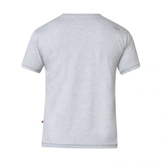 D555 Phillip T-shirt Grey - Herren-T-Shirts - Herren-T-Shirts in großen Größen