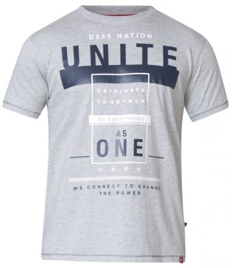 D555 Phillip T-shirt Grey - Herren-T-Shirts - Herren-T-Shirts in großen Größen