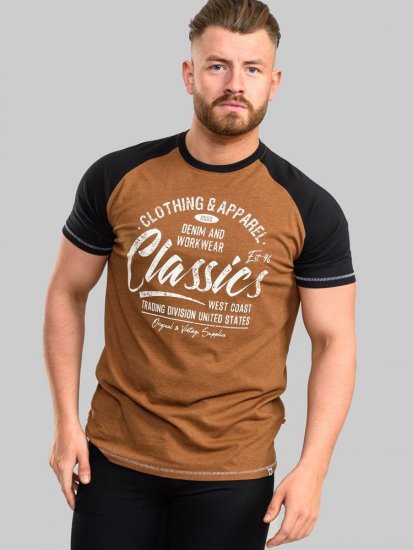 D555 Charmouth Raglan Sleeve Printed T-Shirt - Herren-T-Shirts - Herren-T-Shirts in großen Größen