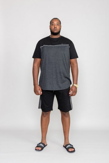 D555 NEWBURY T-Shirt - Herren-T-Shirts - Herren-T-Shirts in großen Größen