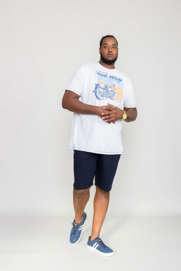 D555 LANGDON Printed T-Shirt - Herren-T-Shirts - Herren-T-Shirts in großen Größen