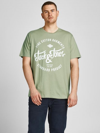 Jack & Jones JJERAFA TEE Light Green - Herren-T-Shirts - Herren-T-Shirts in großen Größen