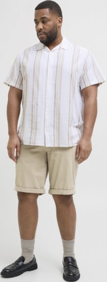 Jack & Jones Dave Chino Shorts Beige - Herrenshorts - Herrenshorts in großen Größen