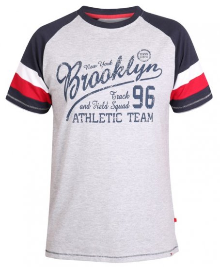 D555 Jones T-shirt Grey - Herren-T-Shirts - Herren-T-Shirts in großen Größen