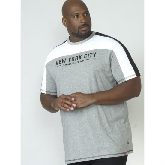 D555 Alvester T-shirt Grey - Herren-T-Shirts - Herren-T-Shirts in großen Größen