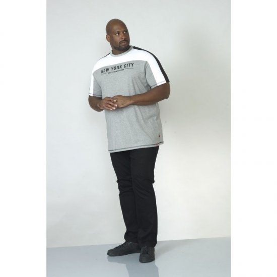 D555 Alvester T-shirt Grey - Herren-T-Shirts - Herren-T-Shirts in großen Größen