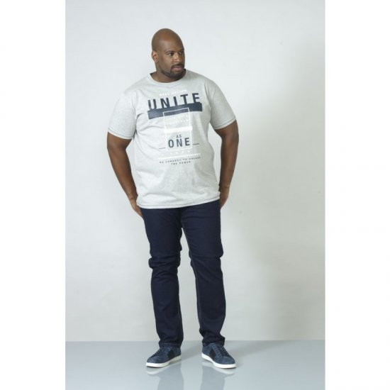 D555 Phillip T-shirt Grey - Herren-T-Shirts - Herren-T-Shirts in großen Größen