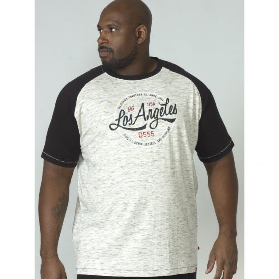 D555 Judson T-shirt Grey - Herren-T-Shirts - Herren-T-Shirts in großen Größen