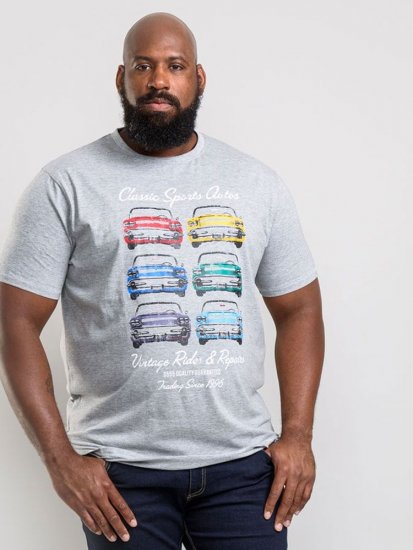 D555 Jenson T-shirt Grey - Herren-T-Shirts - Herren-T-Shirts in großen Größen