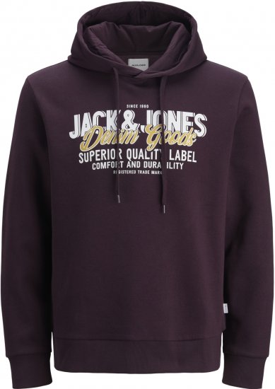 Jack & Jones 2 COL LOGO Hoodie Purple - Herren-sweater und -hoodies - Herren-Sweater und -Hoodies in großen Größen